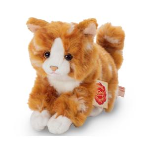 Katt